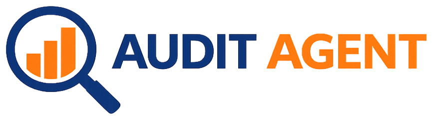 Audit Agent